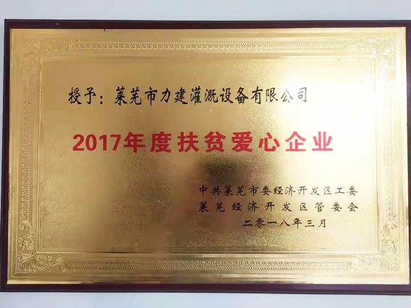 2017 Poverty Alleviation Love Enterprise