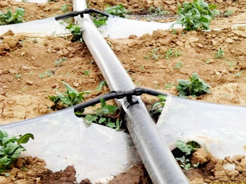 Soft water belt