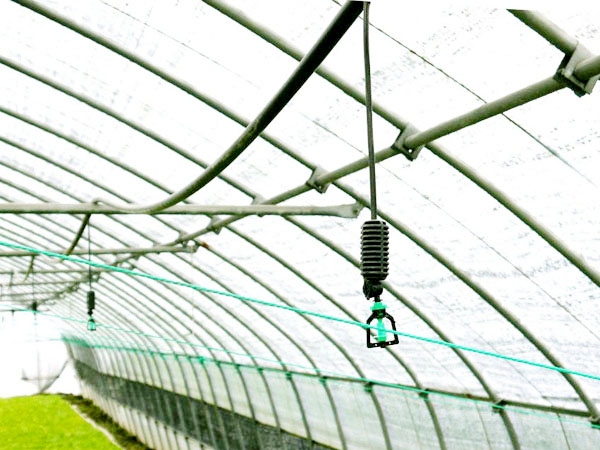 Greenhouse hanging micro-sprinkler