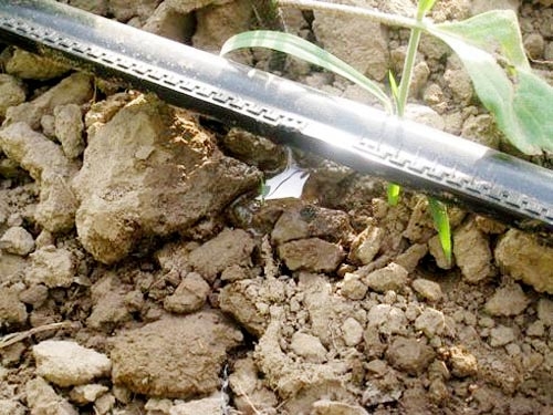 Labyrinth drip irrigation tape