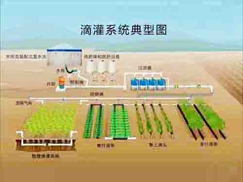 Drip irrigation installation